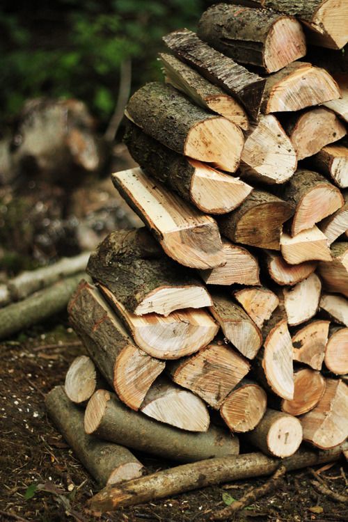 Bagged Firewood