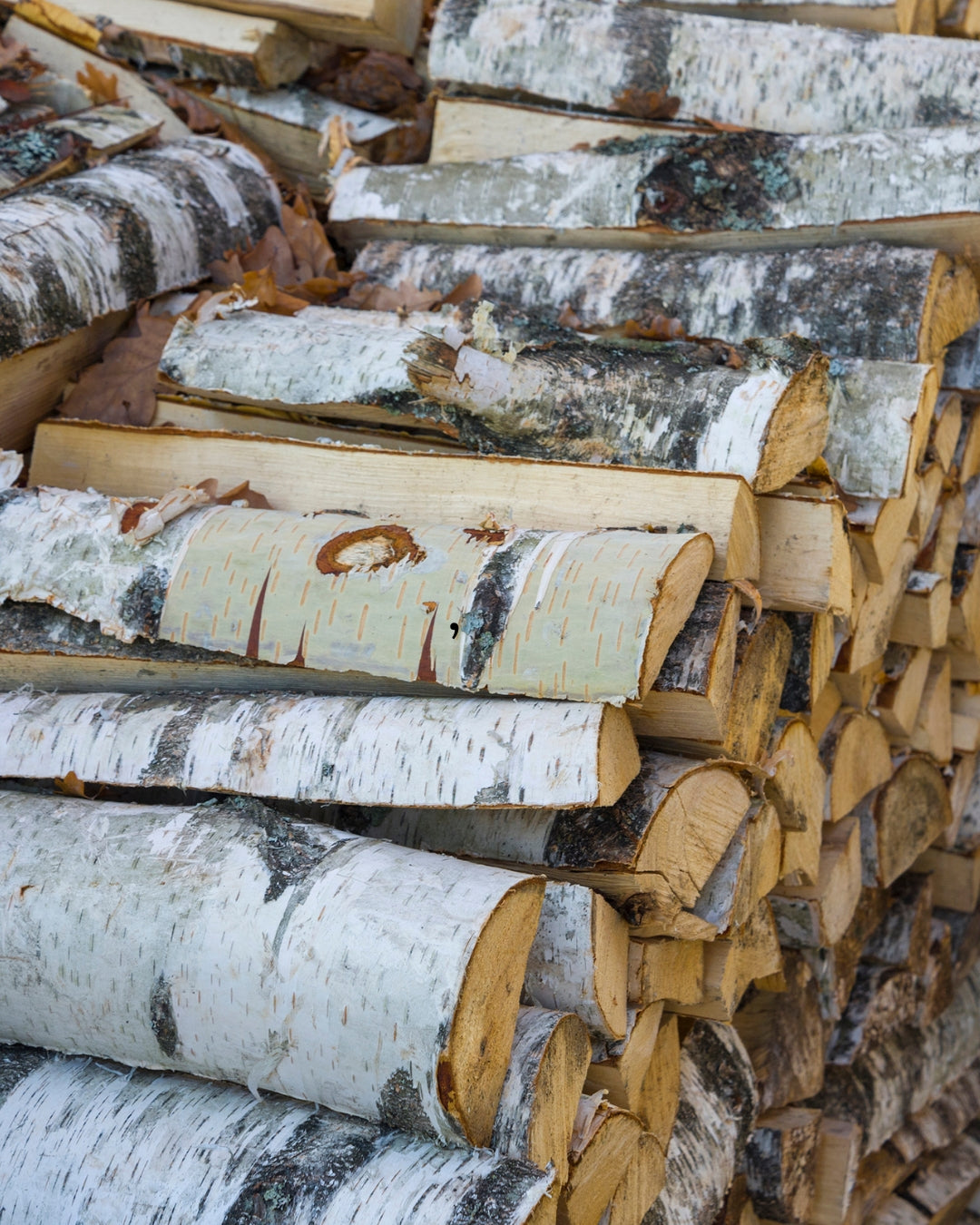 Birch Firewood (12")